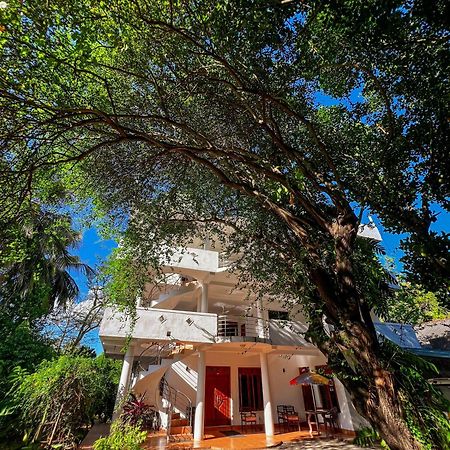 Pleasure Island Holiday Home Dambulla Exterior photo